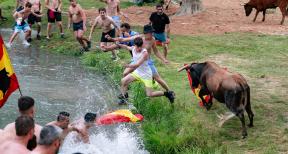 ToroAlcarria convoca su XIX Concurso de Fotografía Taurina 